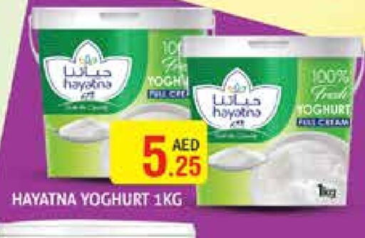 HAYATNA Yoghurt available at Palm Hypermarket Muhaisina LLC in UAE - Dubai