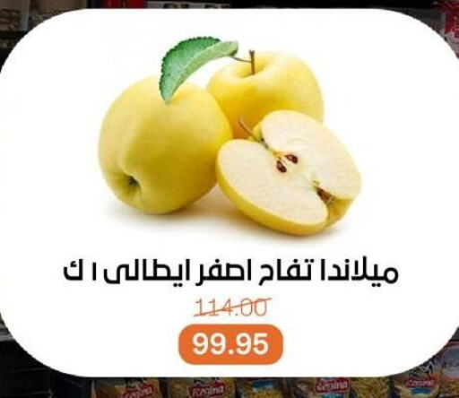 Fresh Fruits in Beit El Gomla, Egypt Offers - Egypt Apples available at Beit El Gomla in Egypt - Cairo
