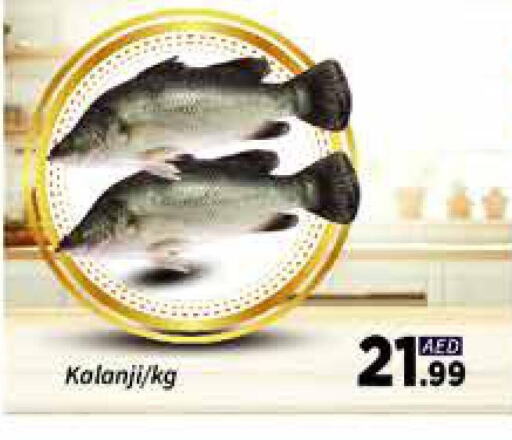 Fresh Fish in AIKO Mall and AIKO Hypermarket, UAE Offers - United Arab Emirates available at AIKO Mall and AIKO Hypermarket in UAE - Dubai