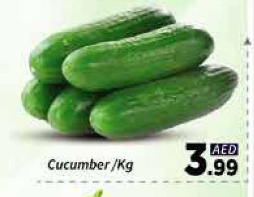 Fresh Vegetables in AIKO Mall and AIKO Hypermarket, UAE Offers - United Arab Emirates Cucumber available at AIKO Mall and AIKO Hypermarket in UAE - Dubai