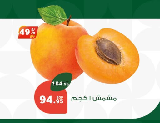 فاكهة طازجة in بنده, Egypt Offers - Egypt available at بنده in Egypt - القاهرة