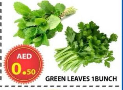 Fresh Vegetables in AL WAHDA DISCOUNTS CENTRE, UAE Offers - United Arab Emirates available at AL WAHDA DISCOUNTS CENTRE in UAE - Sharjah / Ajman