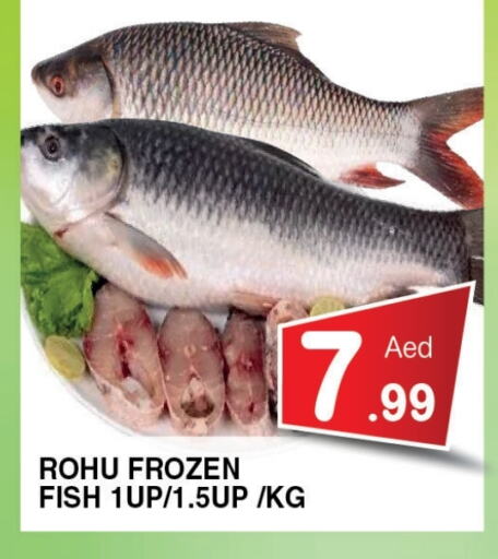 Fresh Fish in Ain Al Madina Hypermarket, UAE Offers - United Arab Emirates available at Ain Al Madina Hypermarket in UAE - Sharjah / Ajman