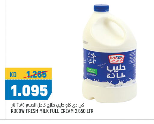 حليب و لبن in أونكوست, الكويت Offers - الكويت كيدي كاو أرز لزج available at أونكوست in الكويت - محافظة الأحمدي