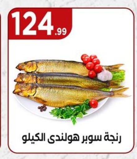 available at مارت فيل in Egypt - القاهرة