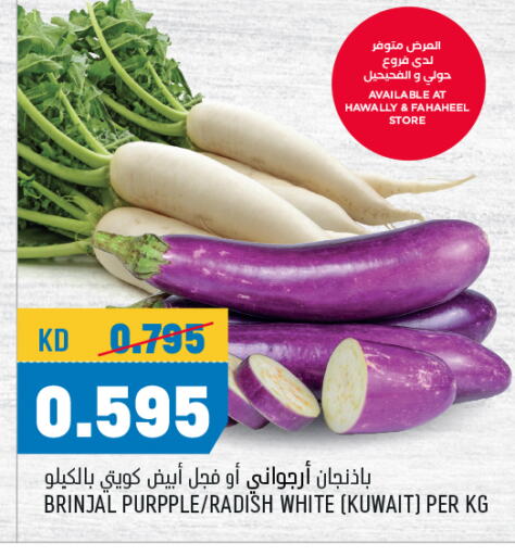 Fresh Vegetables in Oncost, Kuwait Offers - Kuwait Radish from Kuwait available at Oncost in Kuwait - Ahmadi Governorate
