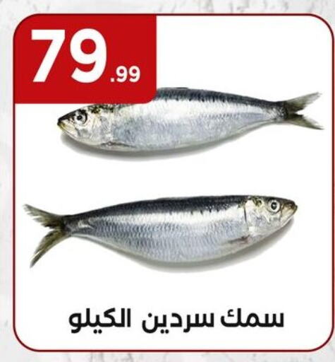 available at MartVille in Egypt - Cairo