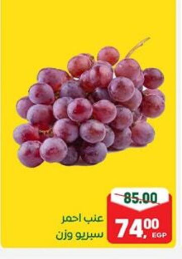 Grapes available at Galhom Market in Egypt - Cairo