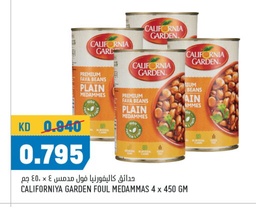 CALIFORNIA GARDEN Fava Beans available at Oncost in Kuwait - Jahra Governorate