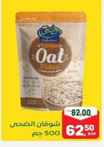 Oats available at Galhom Market in Egypt - Cairo