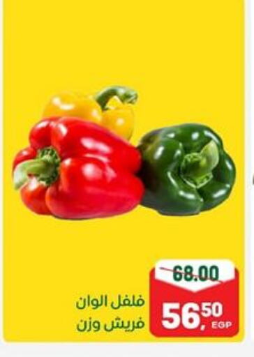 فلفل / فليفلة available at جلهوم ماركت in Egypt - القاهرة