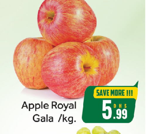 Fresh Fruits in FOODZONE HYPERMARKET, UAE Offers - United Arab Emirates Apples available at FOODZONE HYPERMARKET in UAE - Sharjah / Ajman
