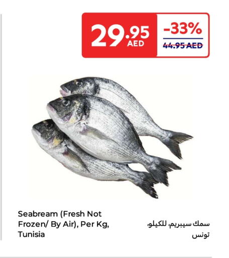 available at كارفور in الإمارات العربية المتحدة , الامارات - أم القيوين‎