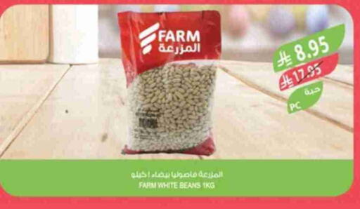 البقول، الفول والحبوب in المزرعة, المملكة العربية السعودية Offers - المملكة العربية السعودية available at المزرعة in مملكة العربية السعودية, السعودية, سعودية - جازان