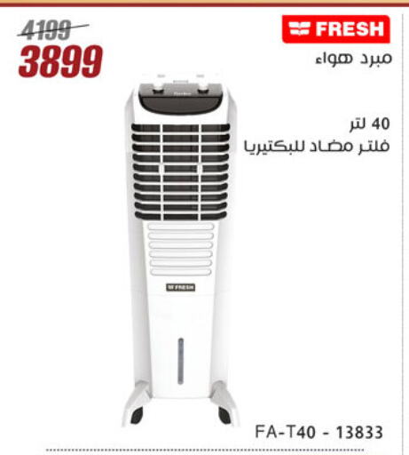 FRESH available at Al Morshedy  in Egypt - Cairo