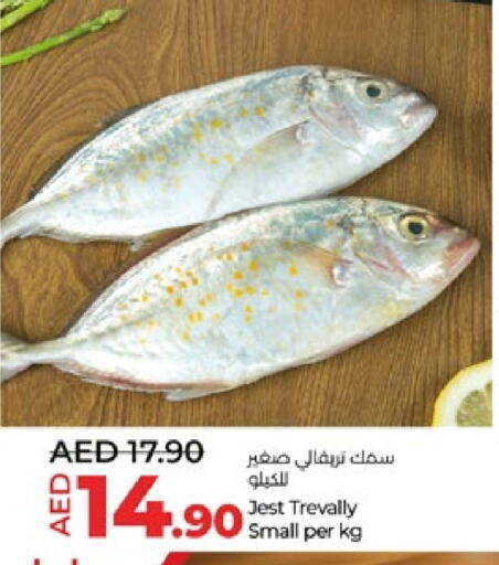 available at Lulu Hypermarket in UAE - Abu Dhabi