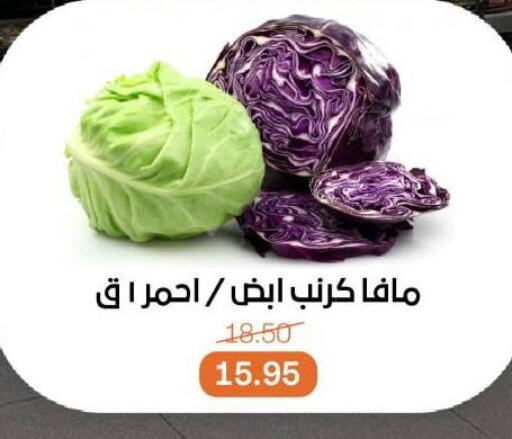 Cabbage available at Beit El Gomla in Egypt - Cairo