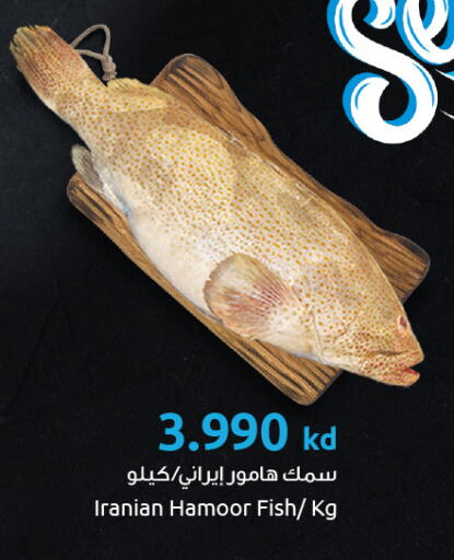 Fresh Fish in The Sultan Center, Kuwait Offers - Kuwait available at The Sultan Center in Kuwait - Kuwait City