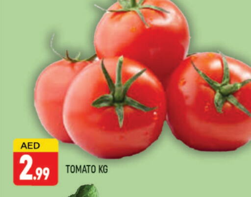 Tomato available at AL MADINA (Dubai) in UAE - Dubai
