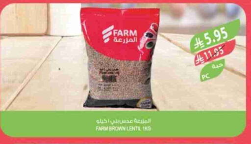 البقول، الفول والحبوب in المزرعة, المملكة العربية السعودية Offers - المملكة العربية السعودية available at المزرعة in مملكة العربية السعودية, السعودية, سعودية - جازان