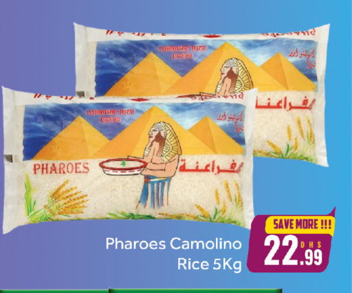 available at FOODZONE HYPERMARKET in UAE - Sharjah / Ajman