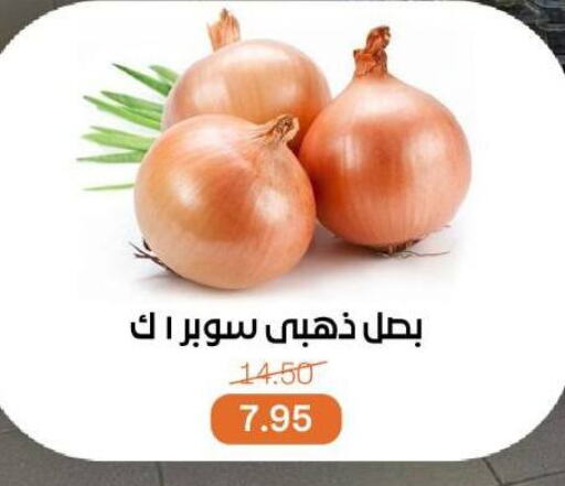 Onion available at Beit El Gomla in Egypt - Cairo