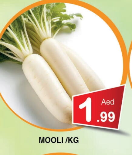 Fresh Vegetables in Ain Al Madina Hypermarket, UAE Offers - United Arab Emirates available at Ain Al Madina Hypermarket in UAE - Sharjah / Ajman