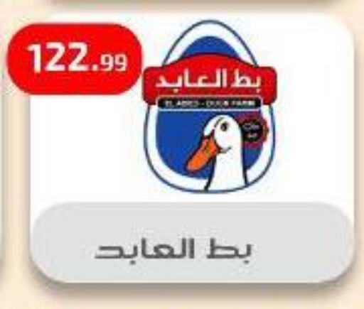 Chicken in Ehab Prince, Egypt Offers - Egypt available at Ehab Prince in Egypt - Cairo