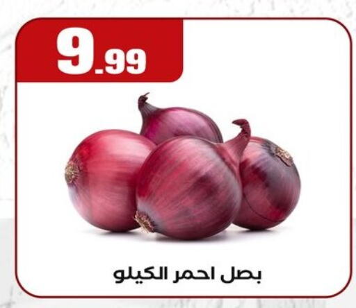 بصل available at مارت فيل in Egypt - القاهرة