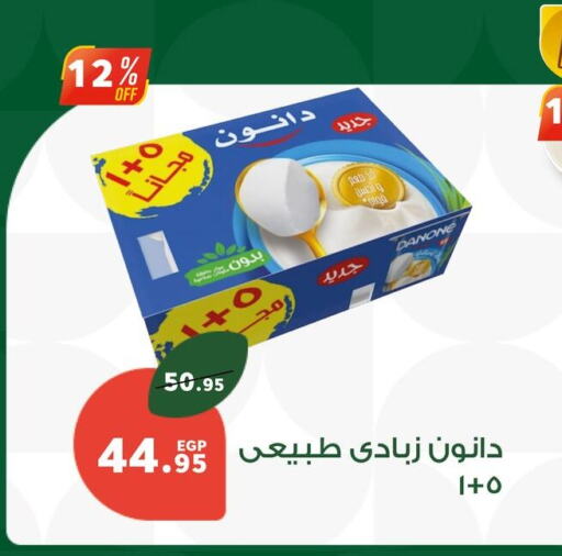 DANONE available at Panda  in Egypt - Cairo