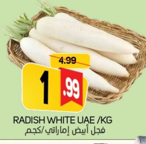 Radish available at Souk Al Mubarak Hypermarket in UAE - Sharjah / Ajman