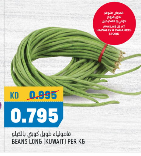 Beans from Kuwait available at Oncost in Kuwait - Jahra Governorate