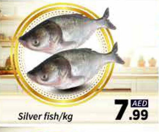 Fresh Fish in AIKO Mall and AIKO Hypermarket, UAE Offers - United Arab Emirates available at AIKO Mall and AIKO Hypermarket in UAE - Dubai