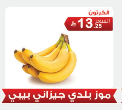موز available at أسواق الرشيد in مملكة العربية السعودية, السعودية, سعودية - الرياض