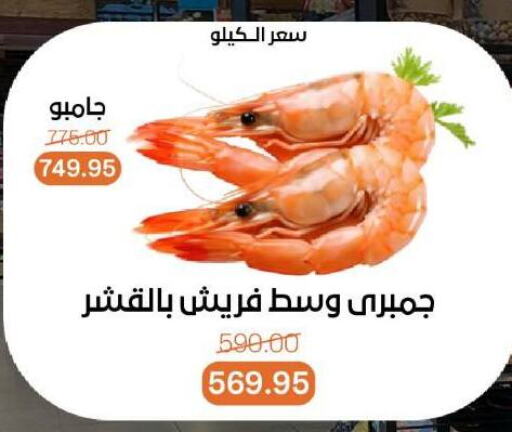 Fresh Fish in Beit El Gomla, Egypt Offers - Egypt available at Beit El Gomla in Egypt - Cairo