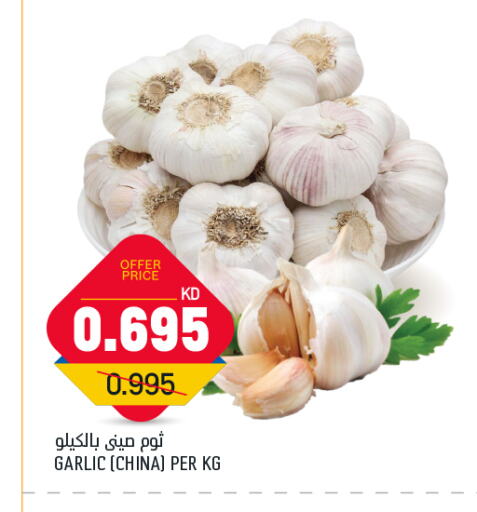 ثوم from China available at أونكوست in الكويت - محافظة الأحمدي