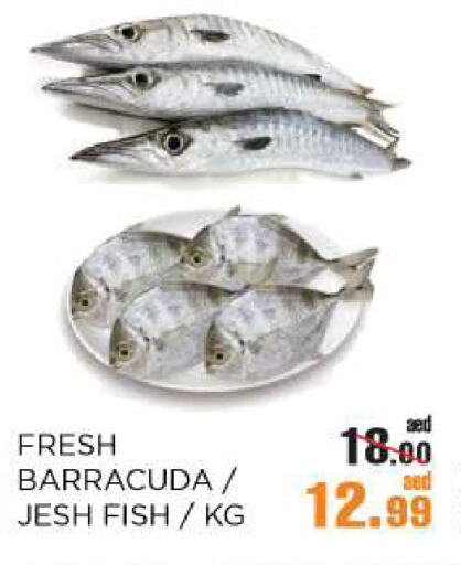 available at OK Hypermarket LLC SPC in UAE - Abu Dhabi