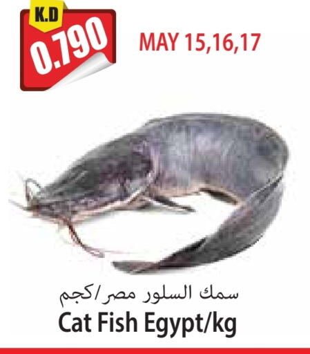 available at 4 SaveMart in Kuwait - Kuwait City
