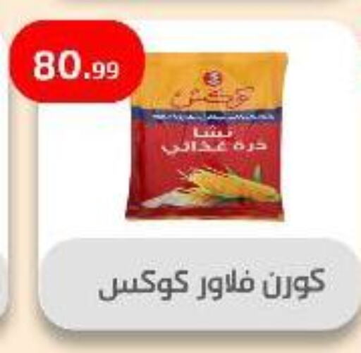 Flour & Baking Supplies in Ehab Prince, Egypt Offers - Egypt available at Ehab Prince in Egypt - Cairo