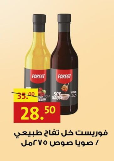 Sauces & Spreads in Al Habib Market, Egypt Offers - Egypt Vinegar available at Al Habib Market in Egypt - Cairo