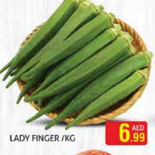 الخضروات الطازجة in هايبرماركت النخيل محيصنة, UAE Offers - الإمارات العربية المتحدة بامية available at هايبرماركت النخيل محيصنة in الإمارات العربية المتحدة , الامارات - دبي