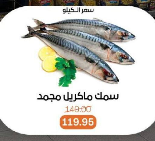 Fresh Fish in Beit El Gomla, Egypt Offers - Egypt available at Beit El Gomla in Egypt - Cairo