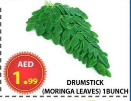 Fresh Vegetables in AL WAHDA DISCOUNTS CENTRE, UAE Offers - United Arab Emirates available at AL WAHDA DISCOUNTS CENTRE in UAE - Sharjah / Ajman