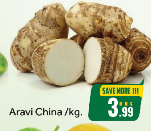 Fresh Vegetables in FOODZONE HYPERMARKET, UAE Offers - United Arab Emirates from China available at FOODZONE HYPERMARKET in UAE - Sharjah / Ajman