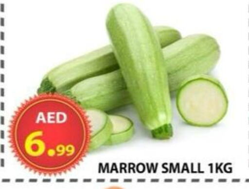 Fresh Vegetables in AL WAHDA DISCOUNTS CENTRE, UAE Offers - United Arab Emirates Marrow available at AL WAHDA DISCOUNTS CENTRE in UAE - Sharjah / Ajman