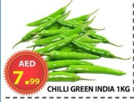 Fresh Vegetables in AL WAHDA DISCOUNTS CENTRE, UAE Offers - United Arab Emirates Chilli / Capsicum from India available at AL WAHDA DISCOUNTS CENTRE in UAE - Sharjah / Ajman