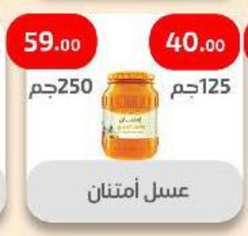 Sauces & Spreads in Ehab Prince, Egypt Offers - Egypt Honey available at Ehab Prince in Egypt - Cairo