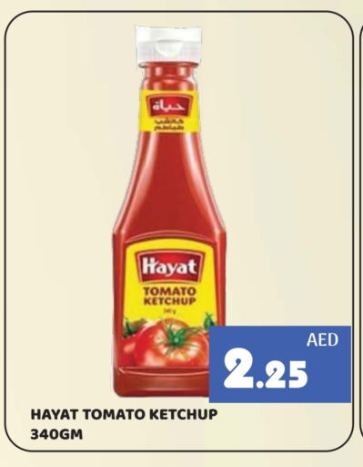 HAYAT Tomato Ketchup available at Kerala Hypermarket in UAE - Ras al Khaimah