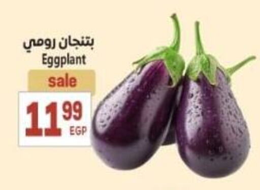 Fresh Vegetables in El.Husseini supermarket , Egypt Offers - Egypt Eggplant available at El.Husseini supermarket in Egypt - Cairo