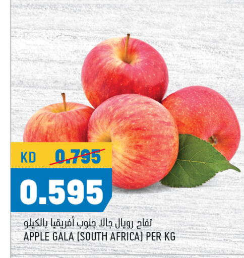 Apples from South Africa available at Oncost in Kuwait - Jahra Governorate